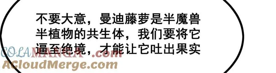 第420话 曼迪藤萝花 第85页