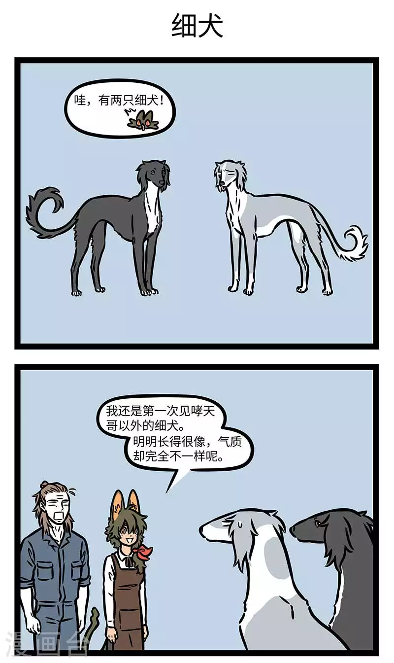 第829话 无独有偶，好狗成双。 第3页