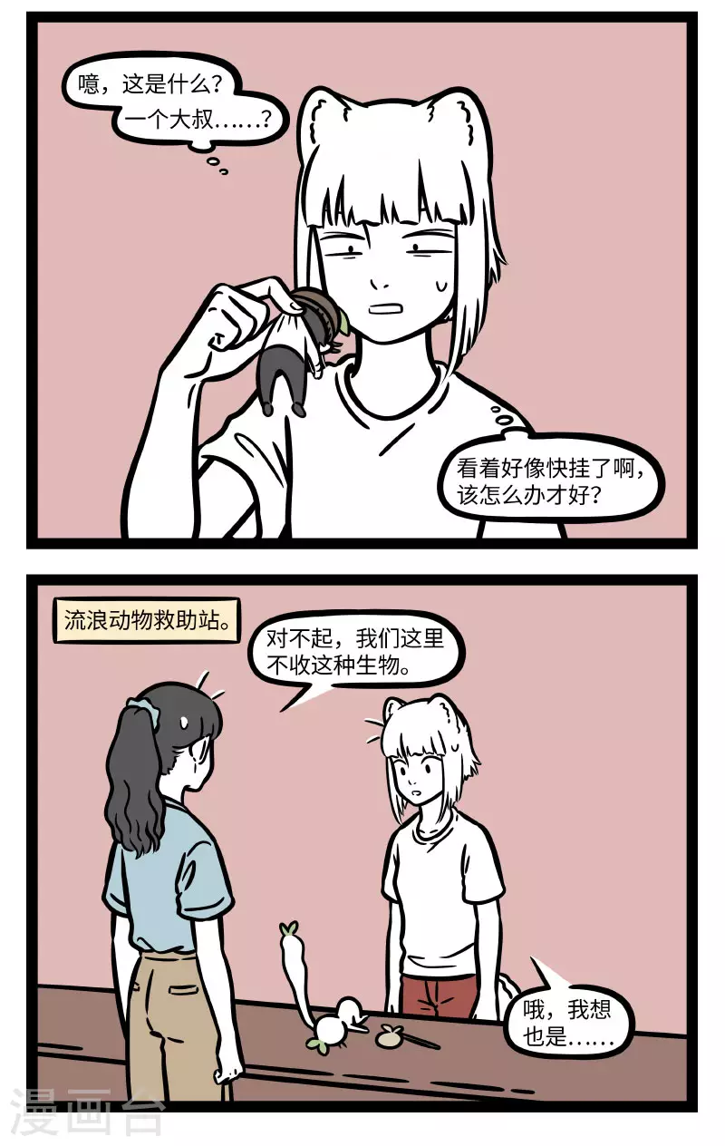 第723话 救助小动物，要爱心关怀也要科学合理 第2页