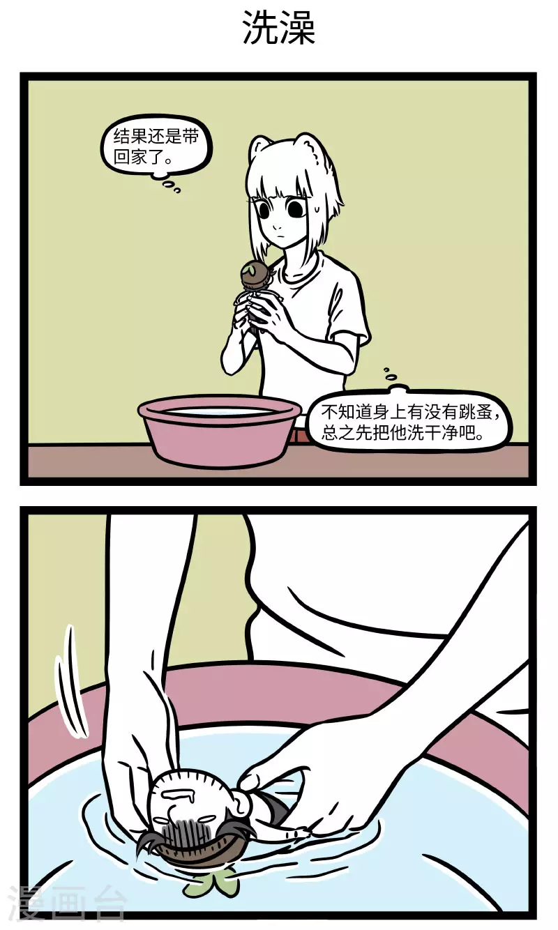 第723话 救助小动物，要爱心关怀也要科学合理 第3页