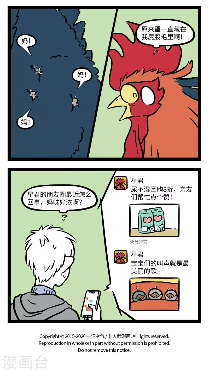 第643话 孵蛋公鸡，公鸡中的战斗鸡 第4页