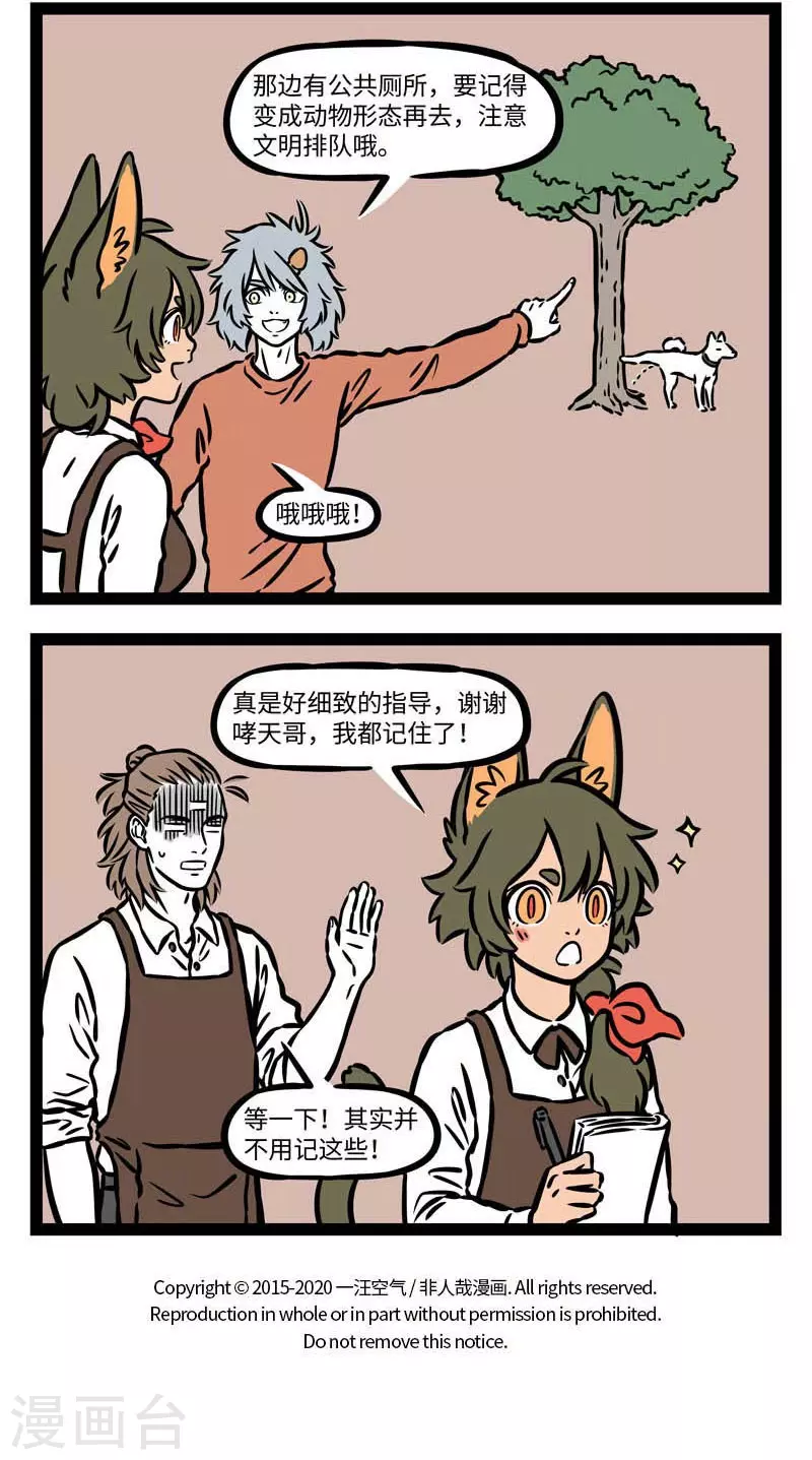 第543话 瓦猫是云南民间的一种镇宅瑞兽，传说有吸金 第4页