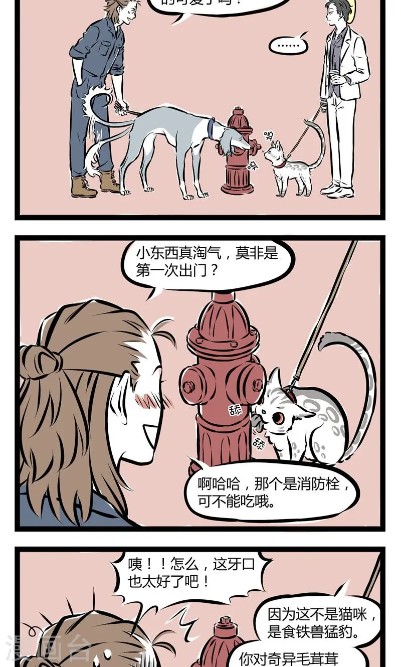 第148话 猛豹 第2页