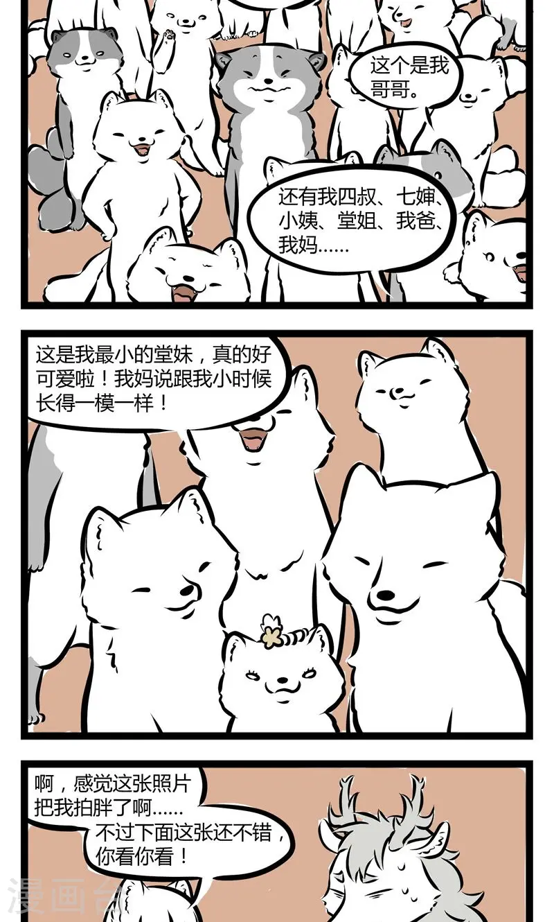 第147话 照片 第2页