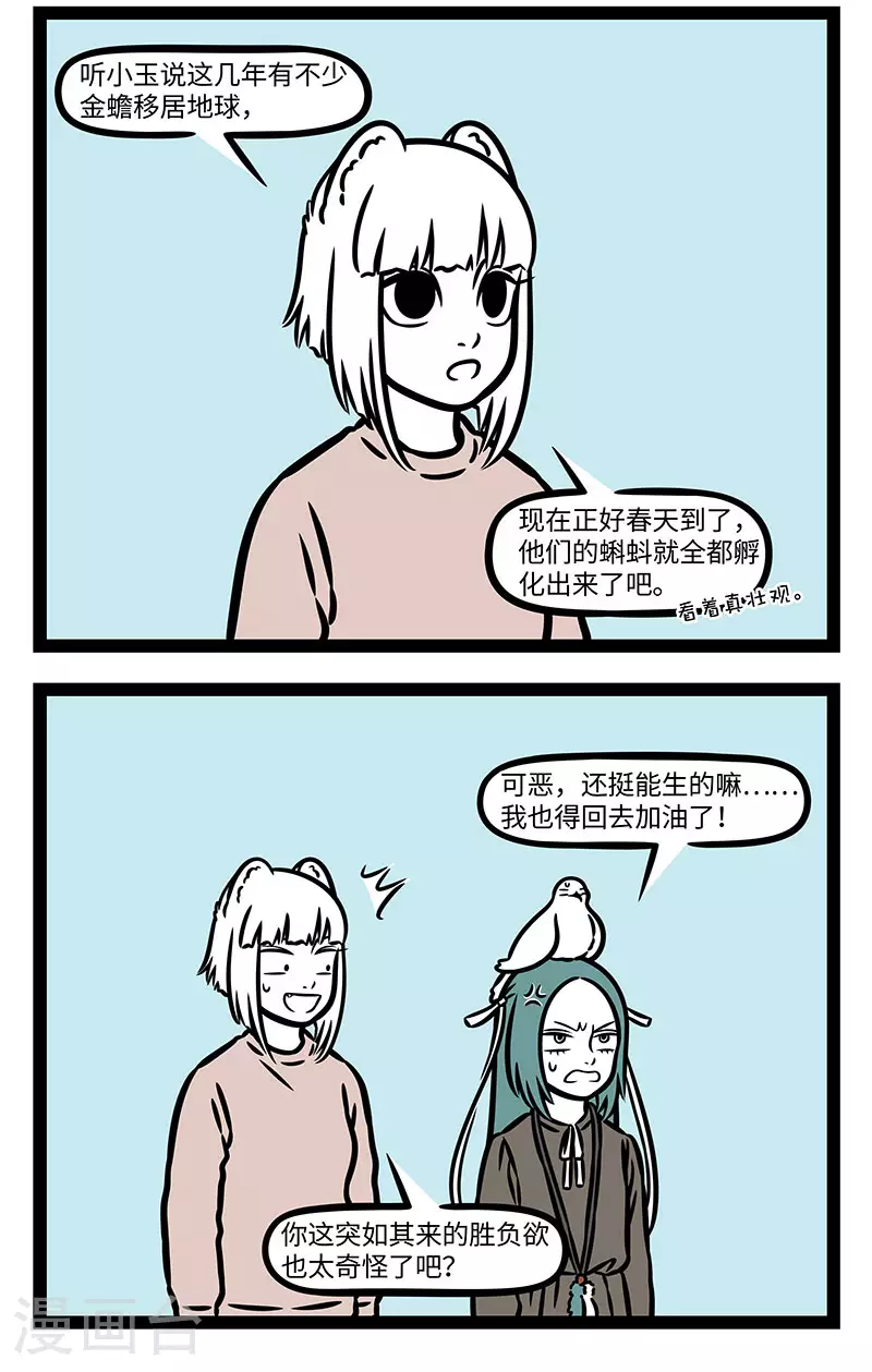 第893话 天上飞的不一定都是鸟。 第2页