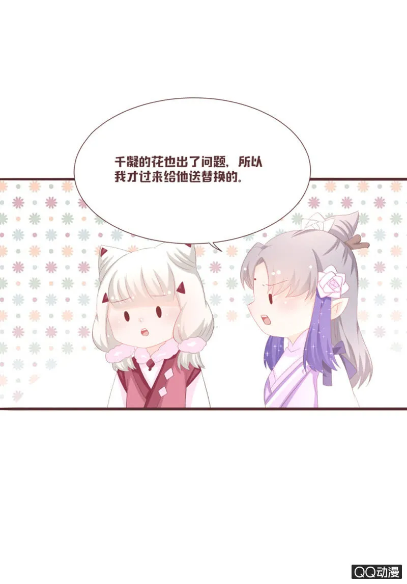 干凝的花灵 第14页
