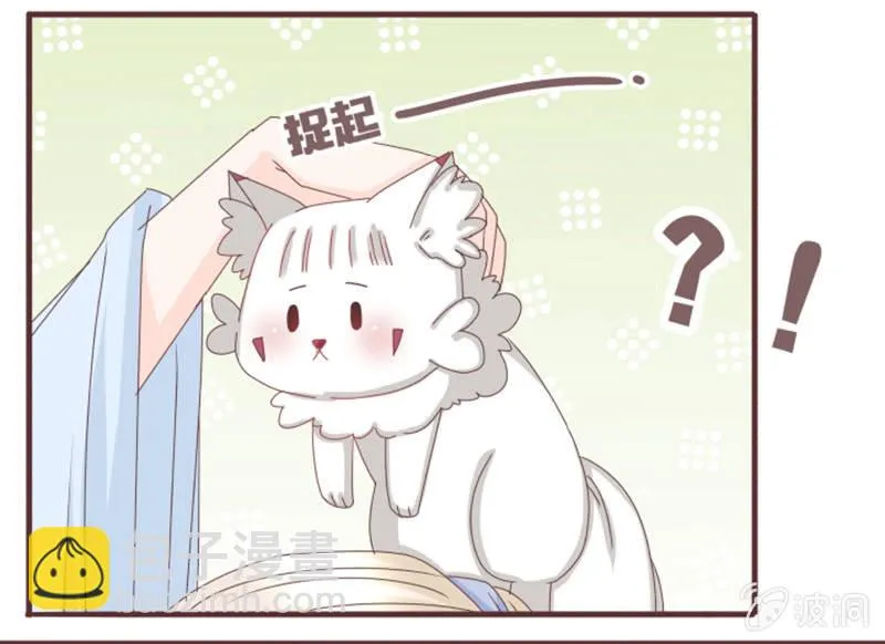 大家一起找鸡吧！ 第7页
