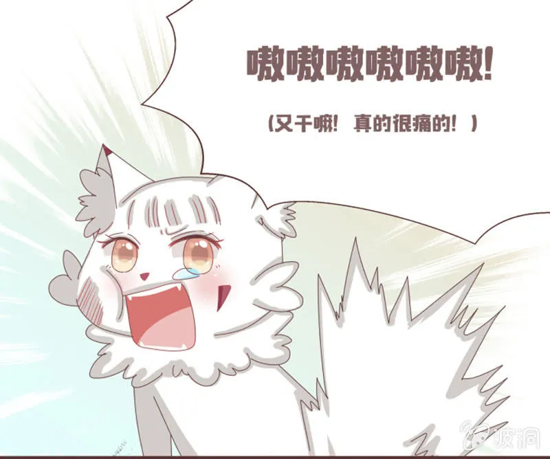 大家一起找鸡吧！ 第9页
