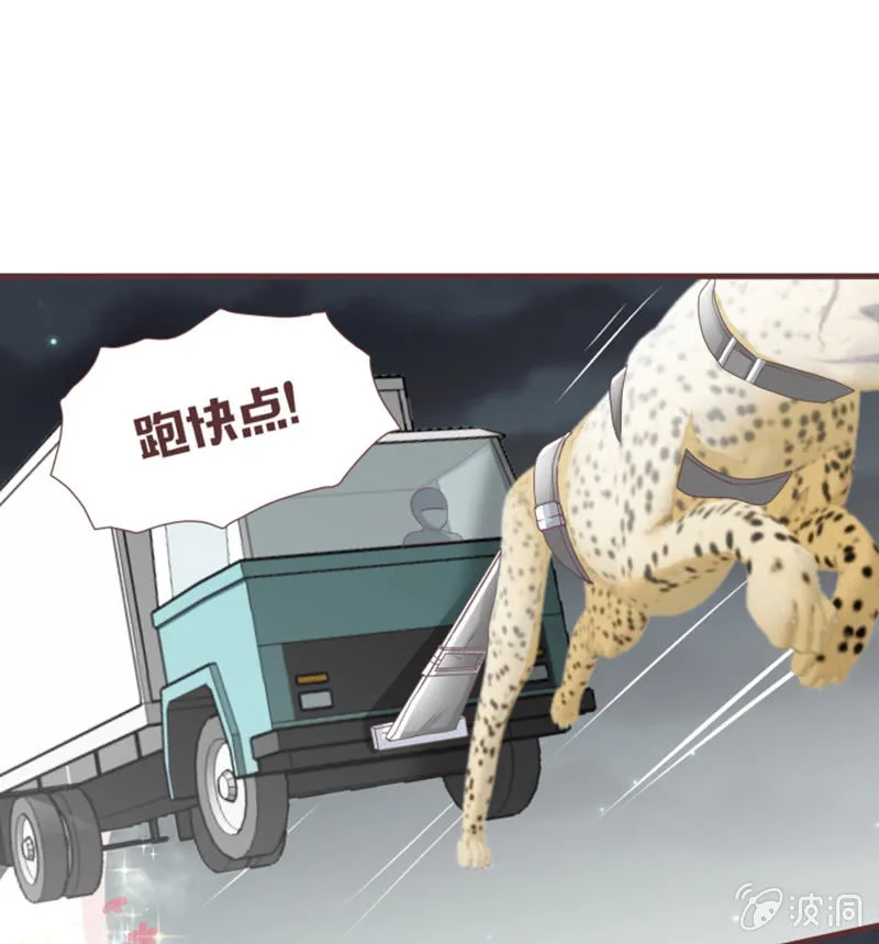 咦？你怎么来了！ 第19页
