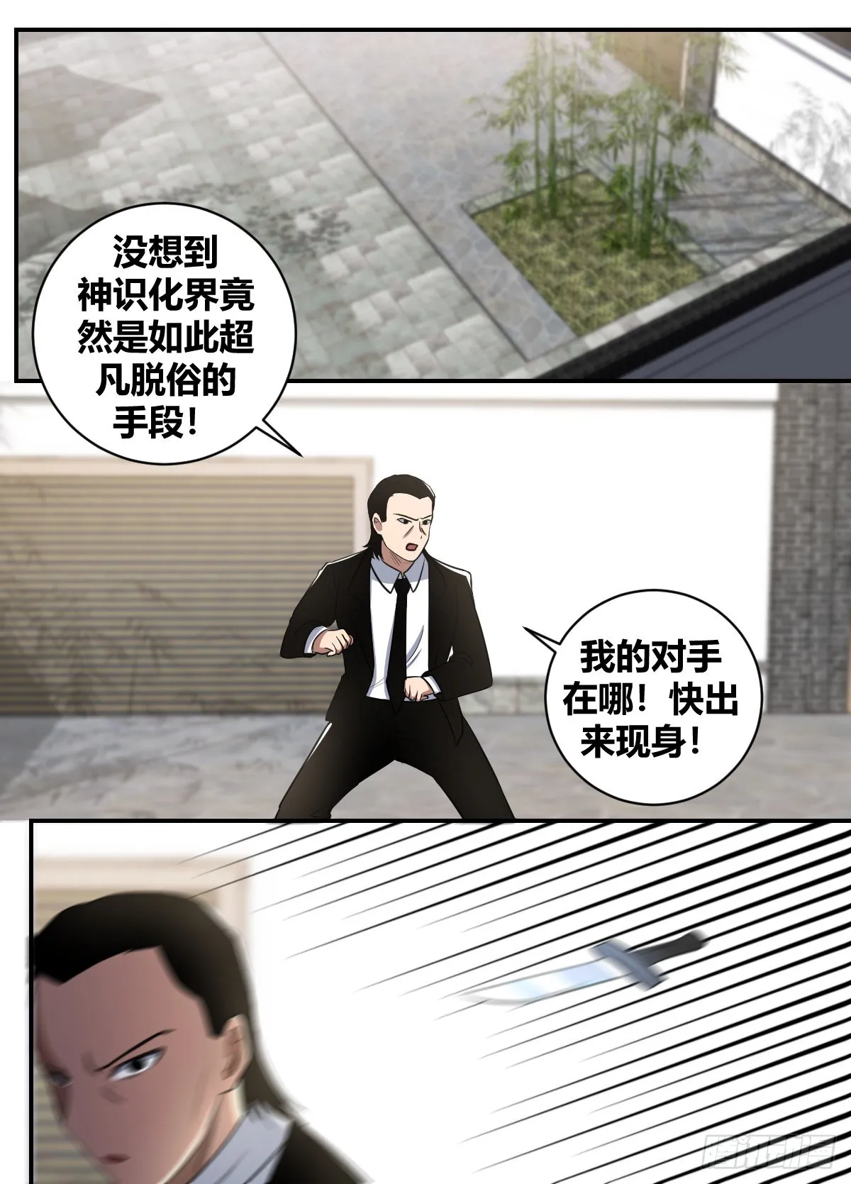 二五一 -神识化界？ 第5页