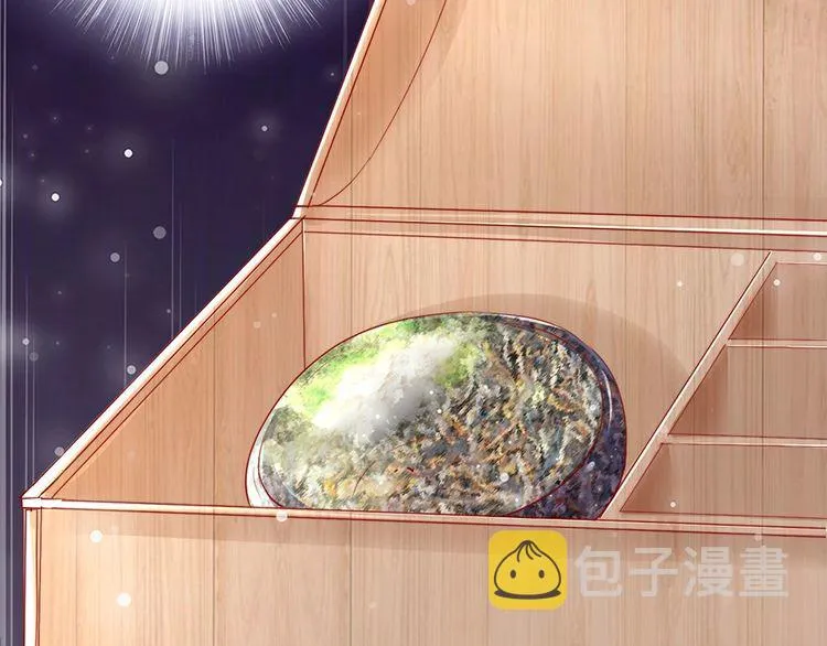 第24话 巧手王妃自制华服 第95页