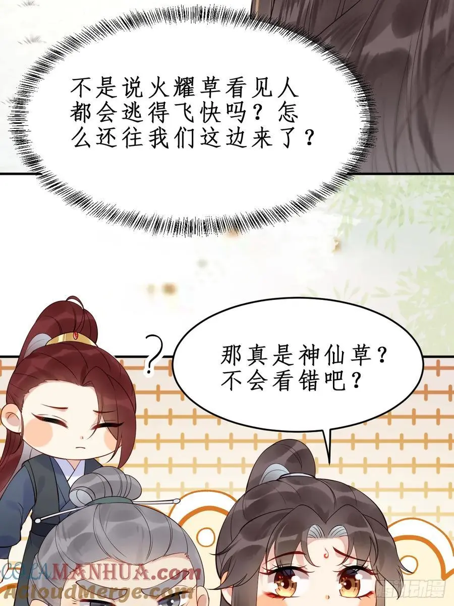 607 神仙草 第33页