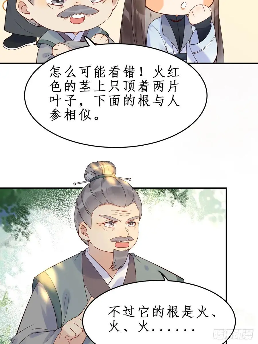 607 神仙草 第34页