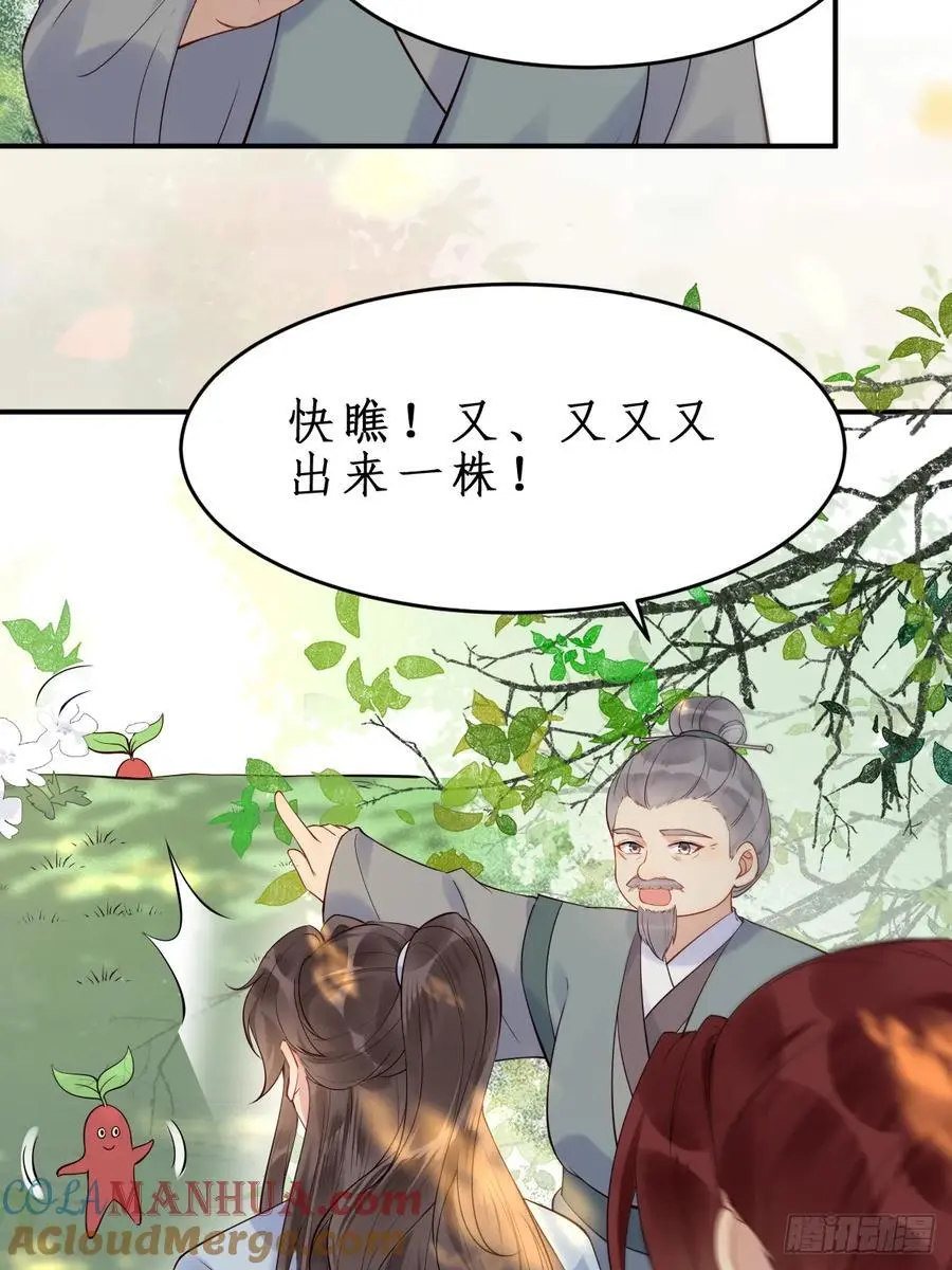 607 神仙草 第35页