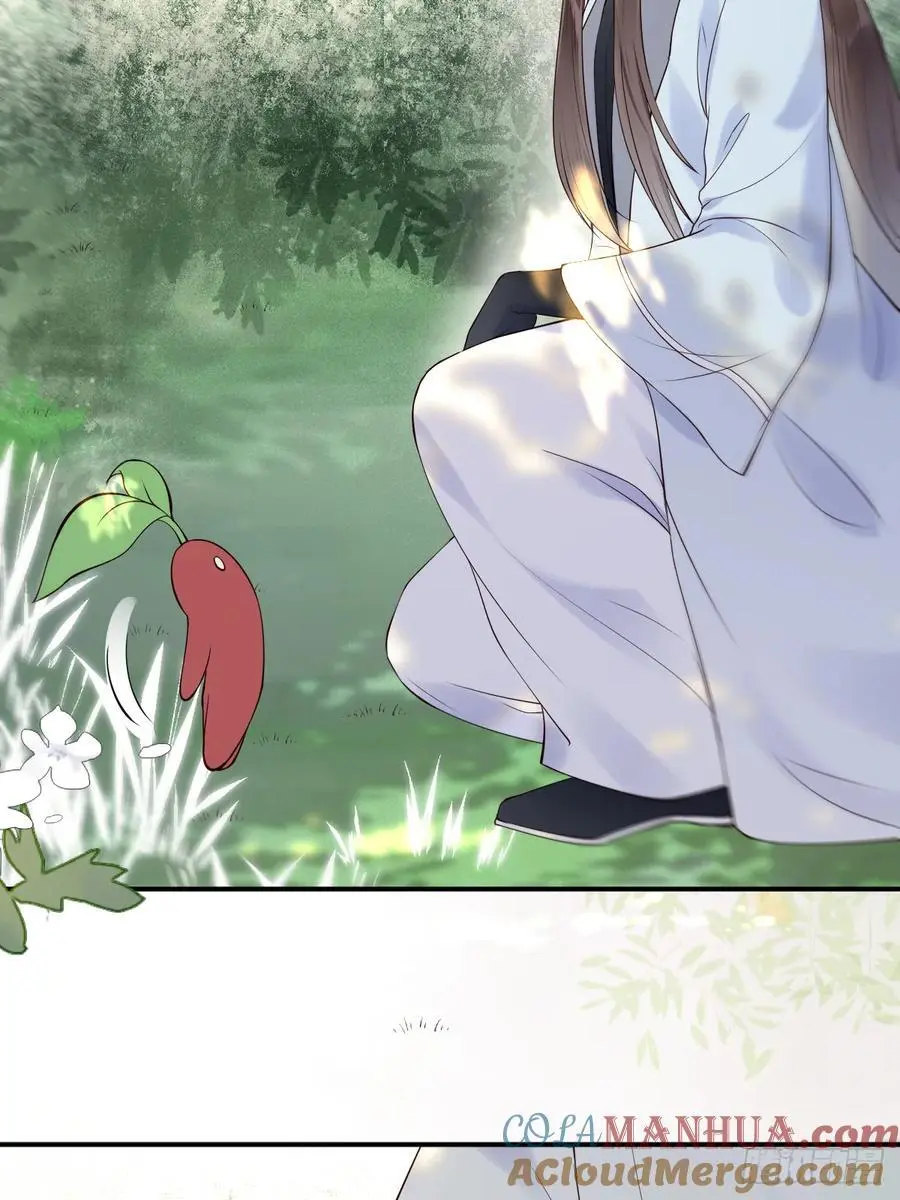 607 神仙草 第37页