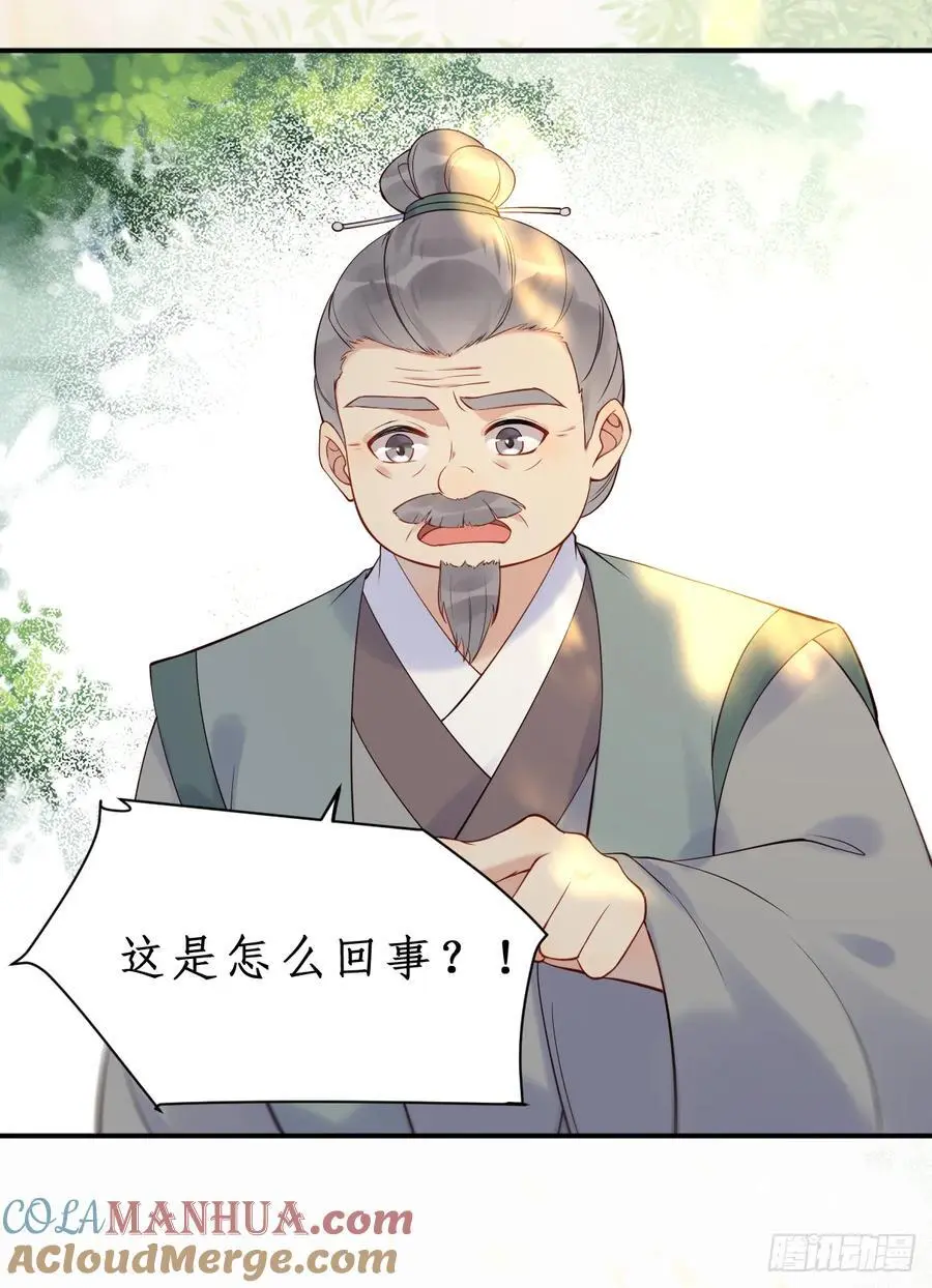 607 神仙草 第41页