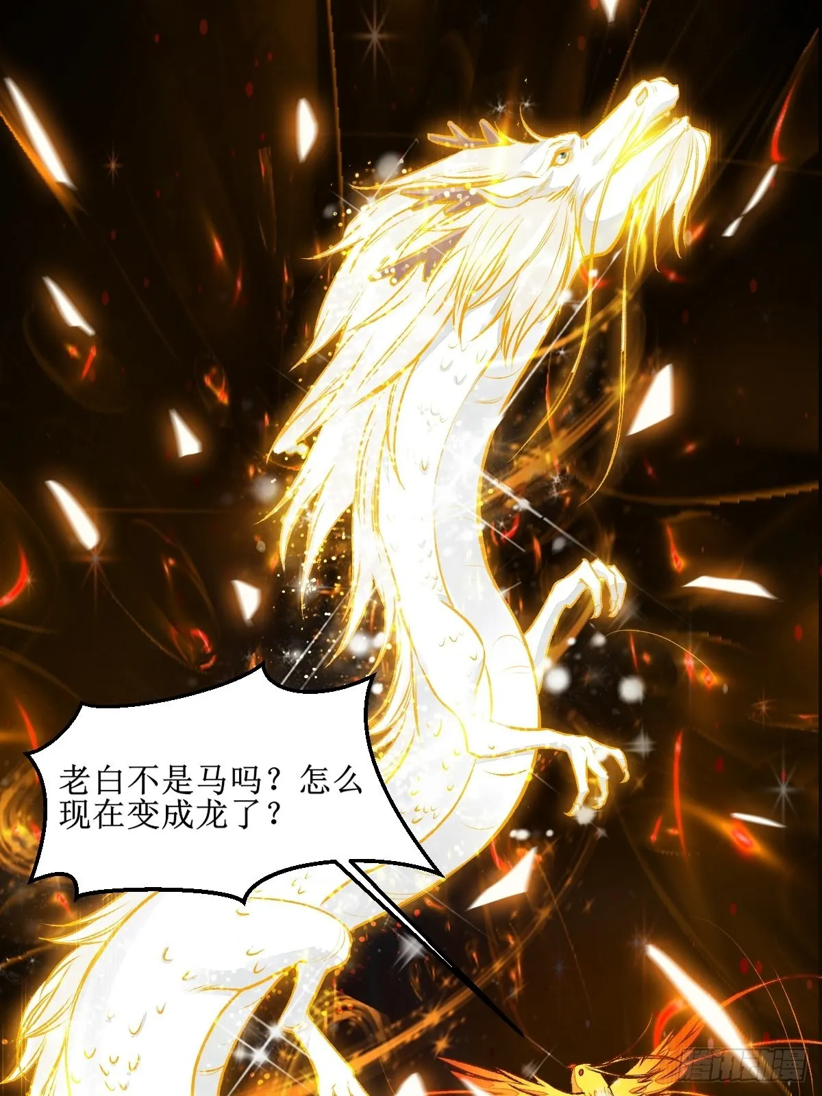老白进阶！ 第27页