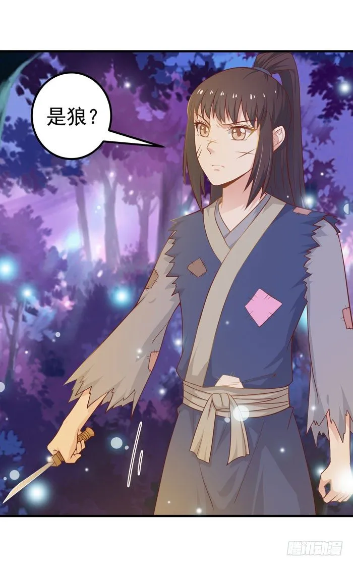独战群狼 第11页