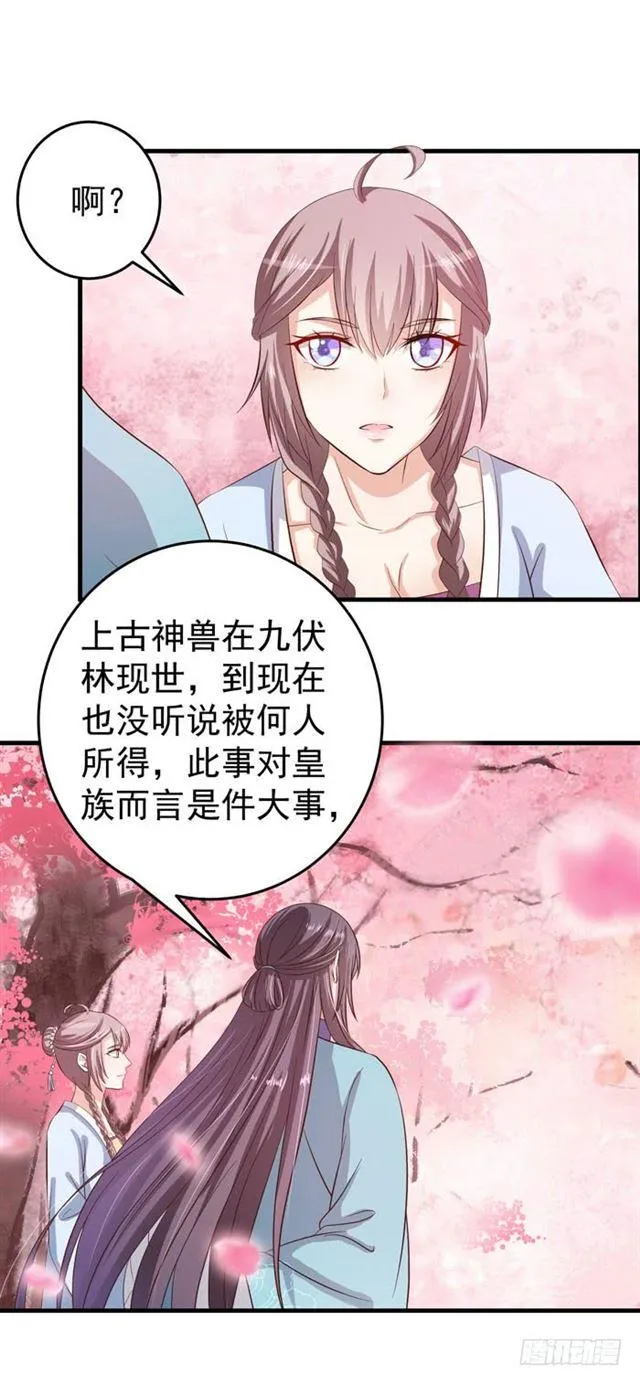 观桃花 第3页