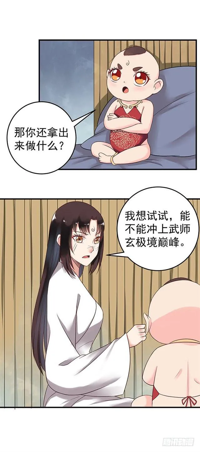 武师玄极境巅峰 第15页