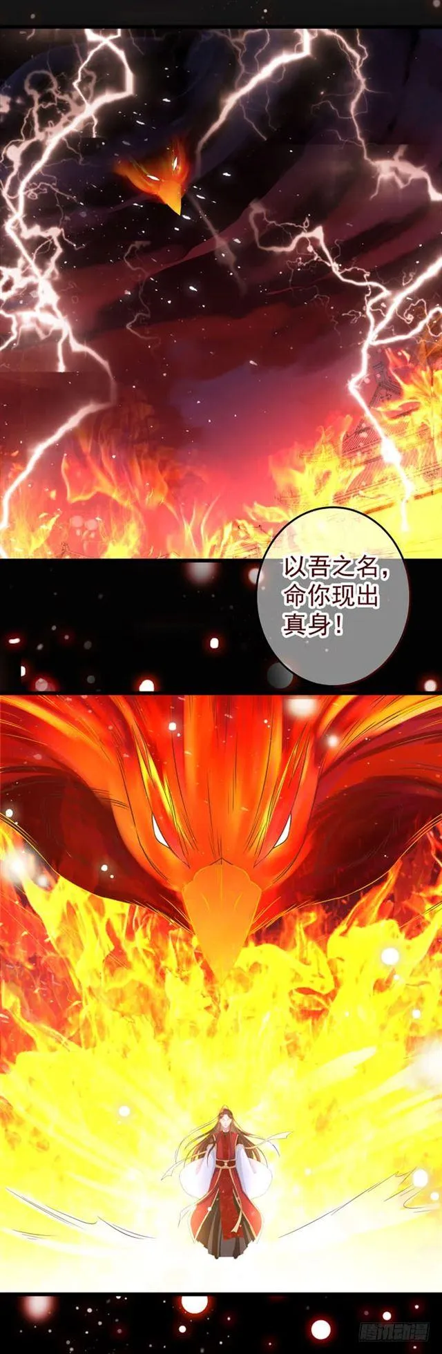 有凤来 第12页