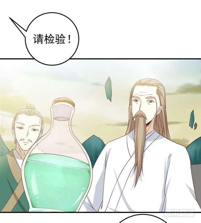 灵药大赛开始 第30页