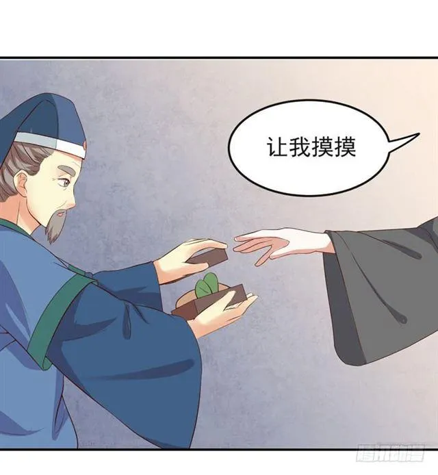 好大一只“鸟” 第10页