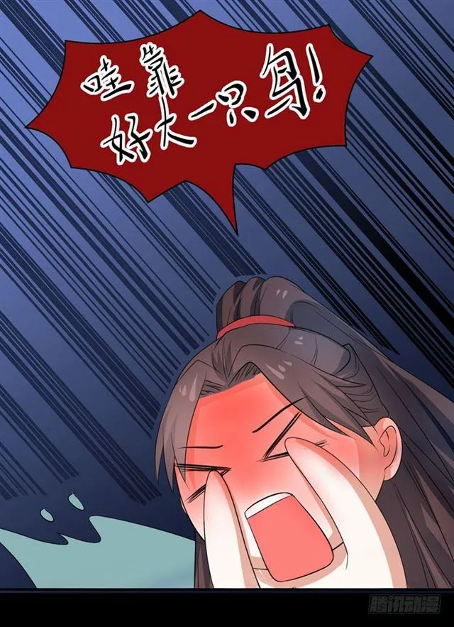 好大一只“鸟” 第29页