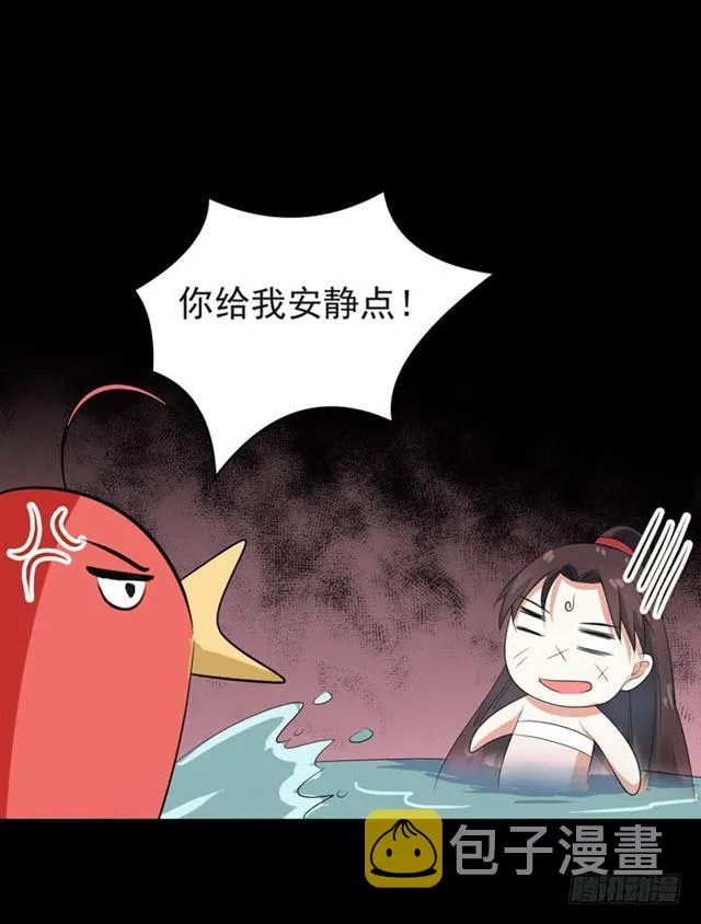 好大一只“鸟” 第30页