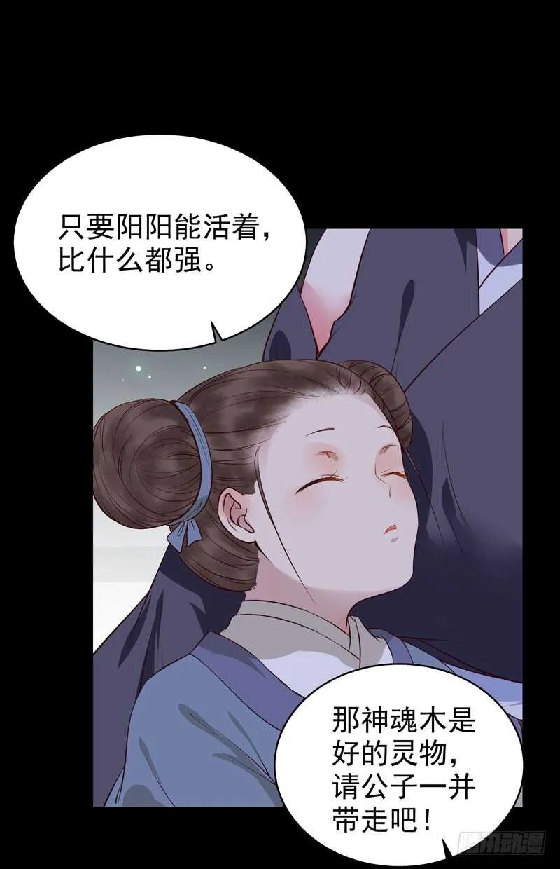 神魂木 第21页