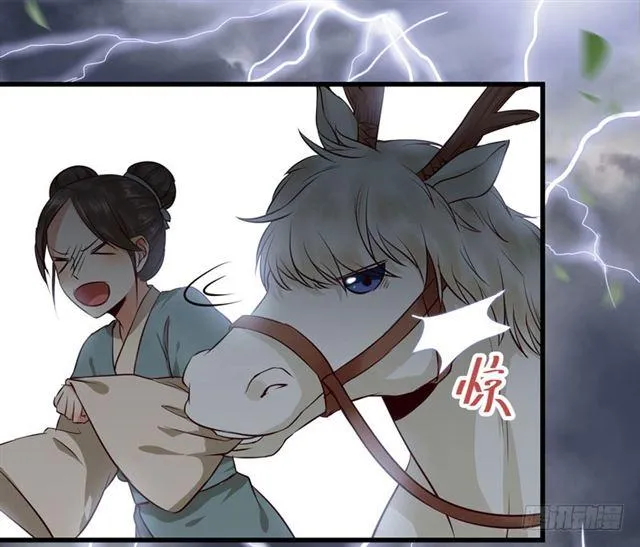 引来天雷 第41页