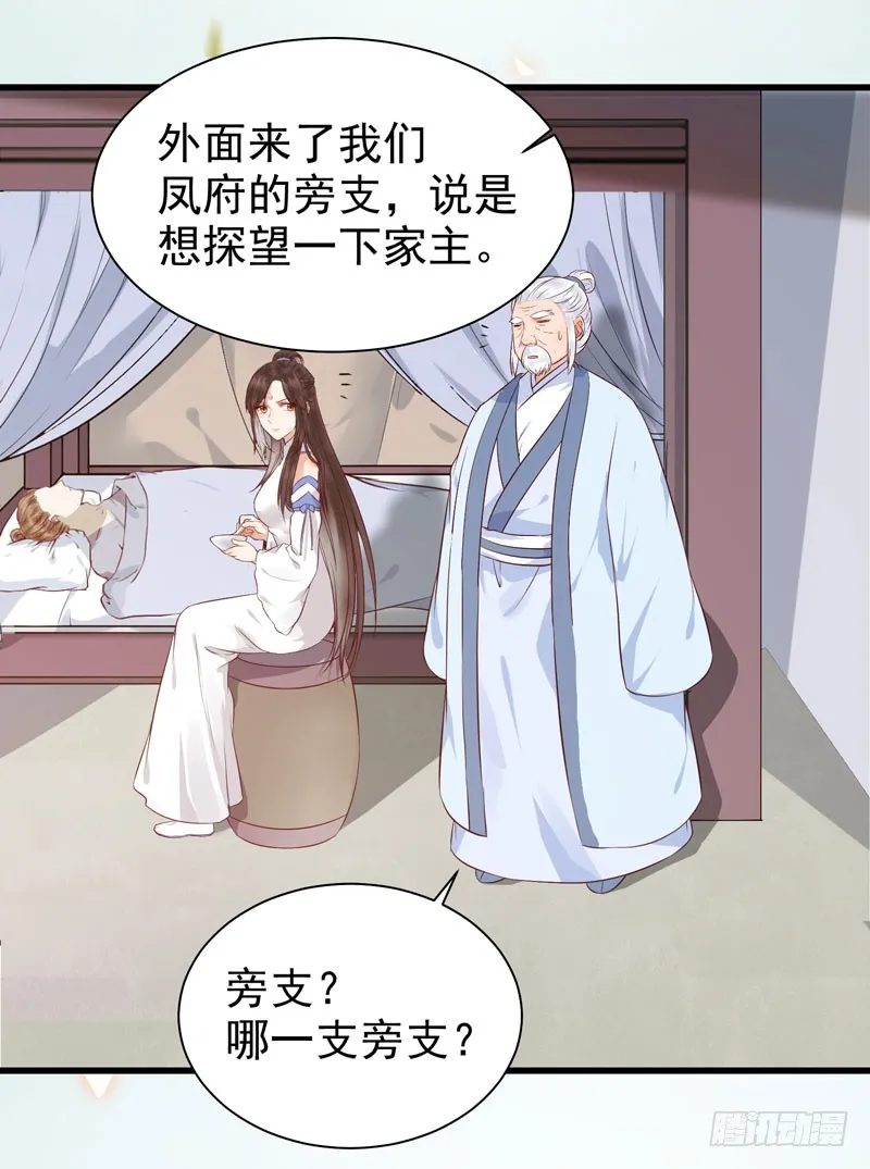 凤府旁支 第27页