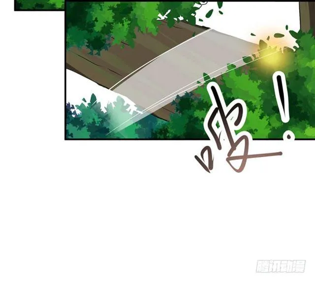 火凤醒来 第13页