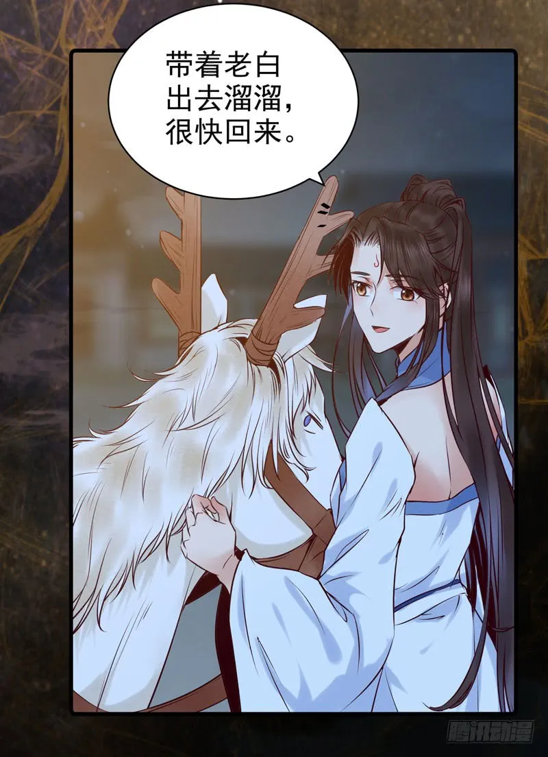 引蛇出洞 第11页