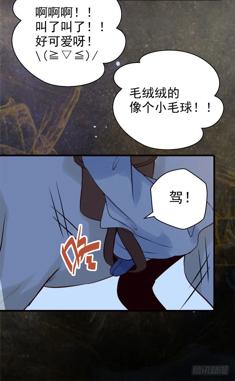 引蛇出洞 第24页