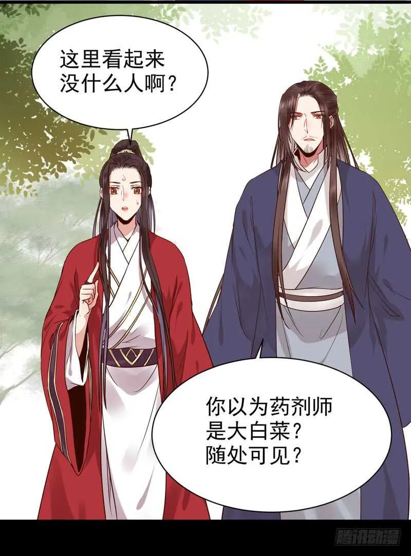 考取药圣 第30页