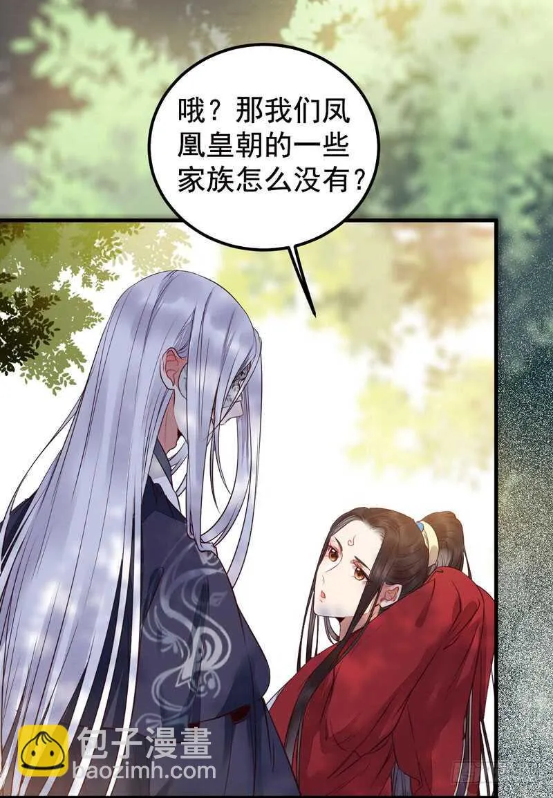 归凤凰王朝 第4页
