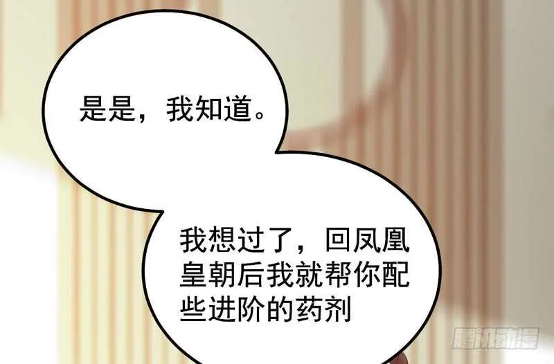 归凤凰王朝 第30页