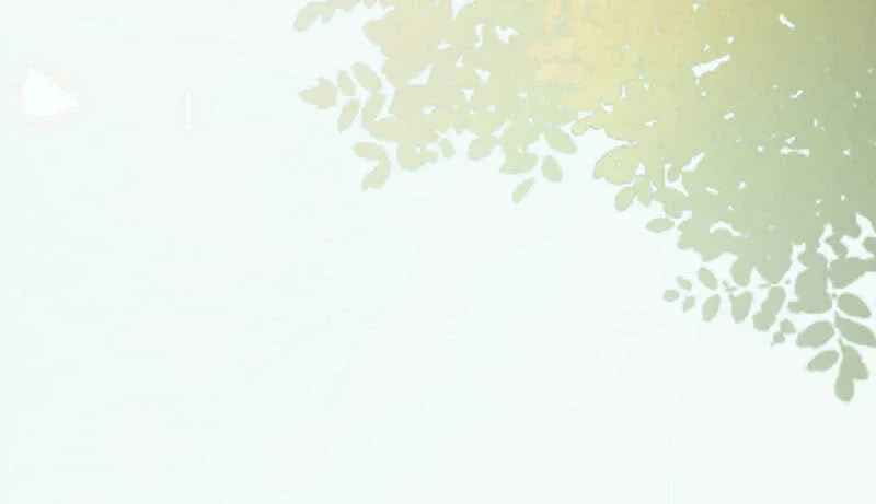 十年之约 第20页