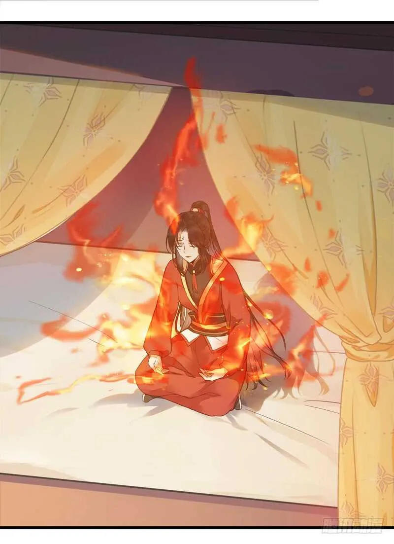 突破武皇 第7页