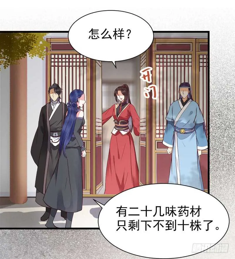 突破武皇 第11页