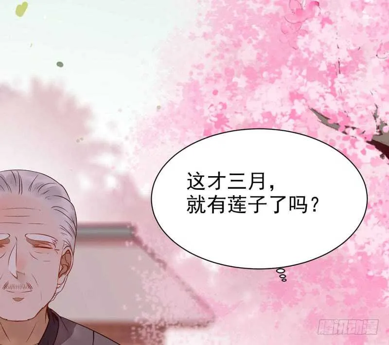 星云城 第3页