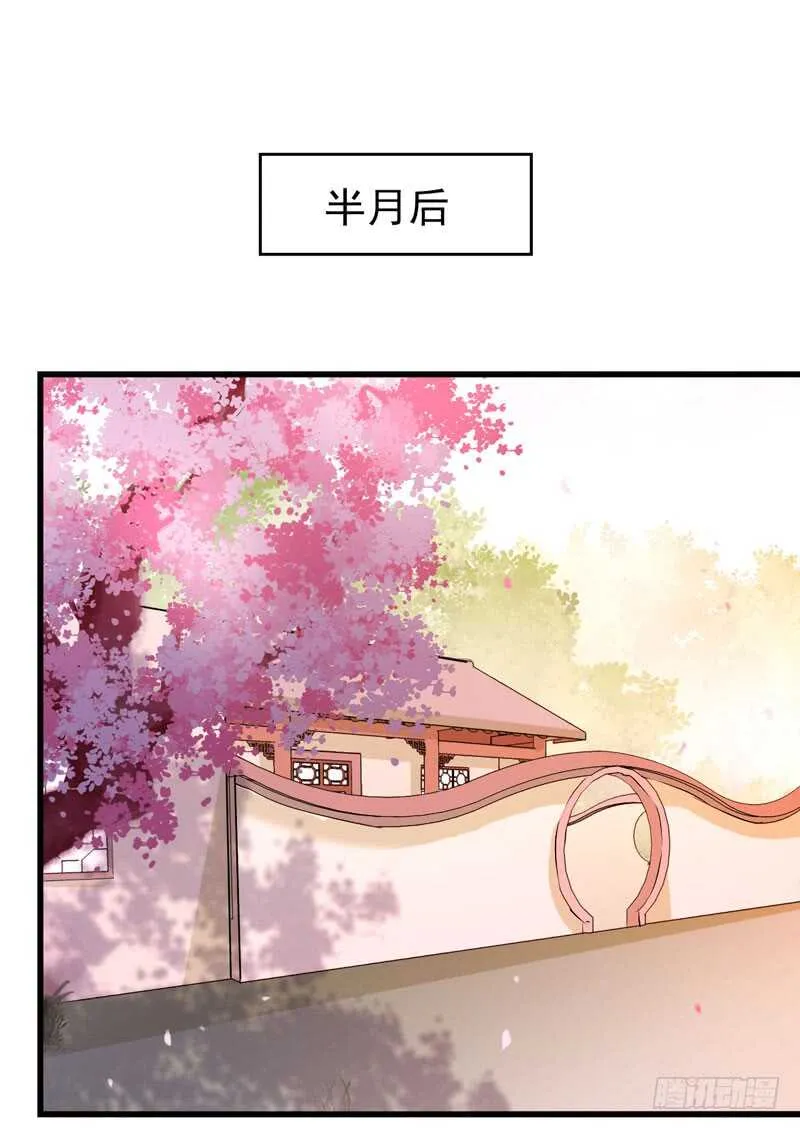 寿元丹成 第29页