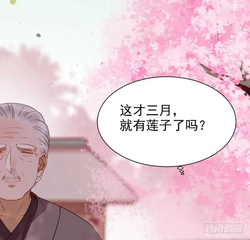 寿元丹成 第46页