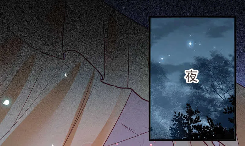混沌青莲 第11页