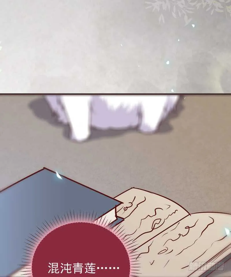 混沌青莲 第25页