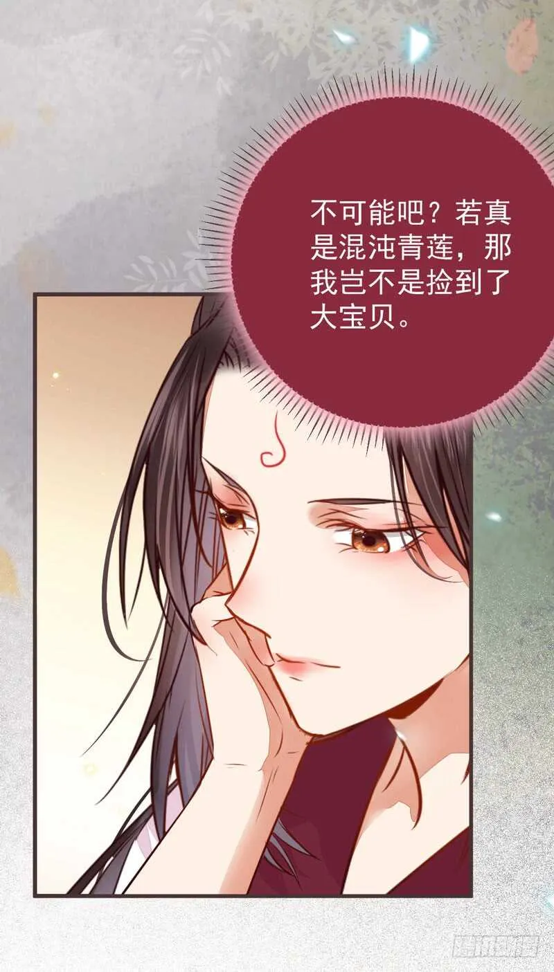 混沌青莲 第28页
