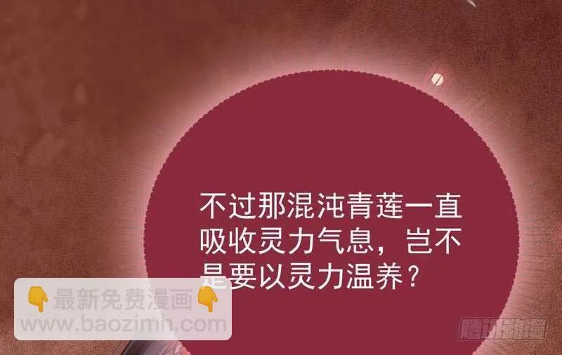 混沌青莲 第29页
