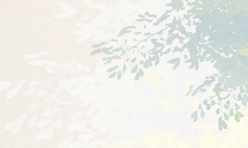 入住洞府 第43页