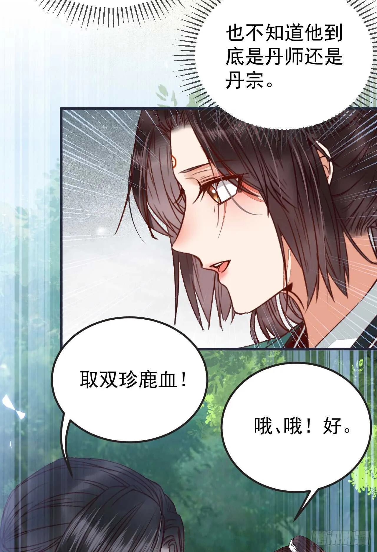 无法炼丹 第12页